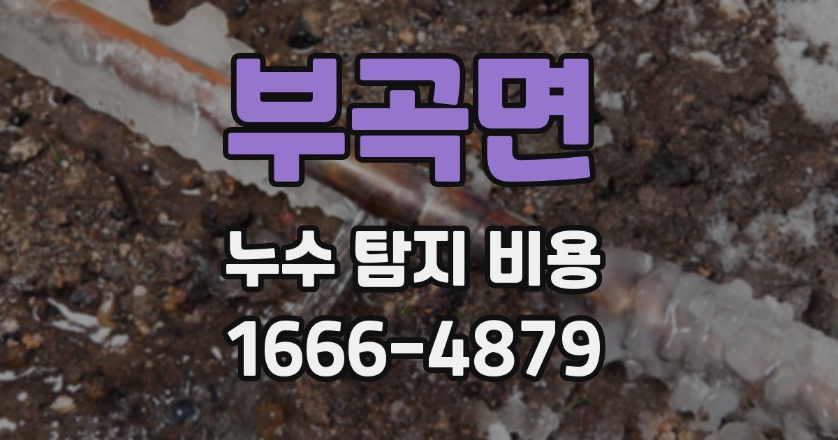 부곡면 누수 탐지 비용