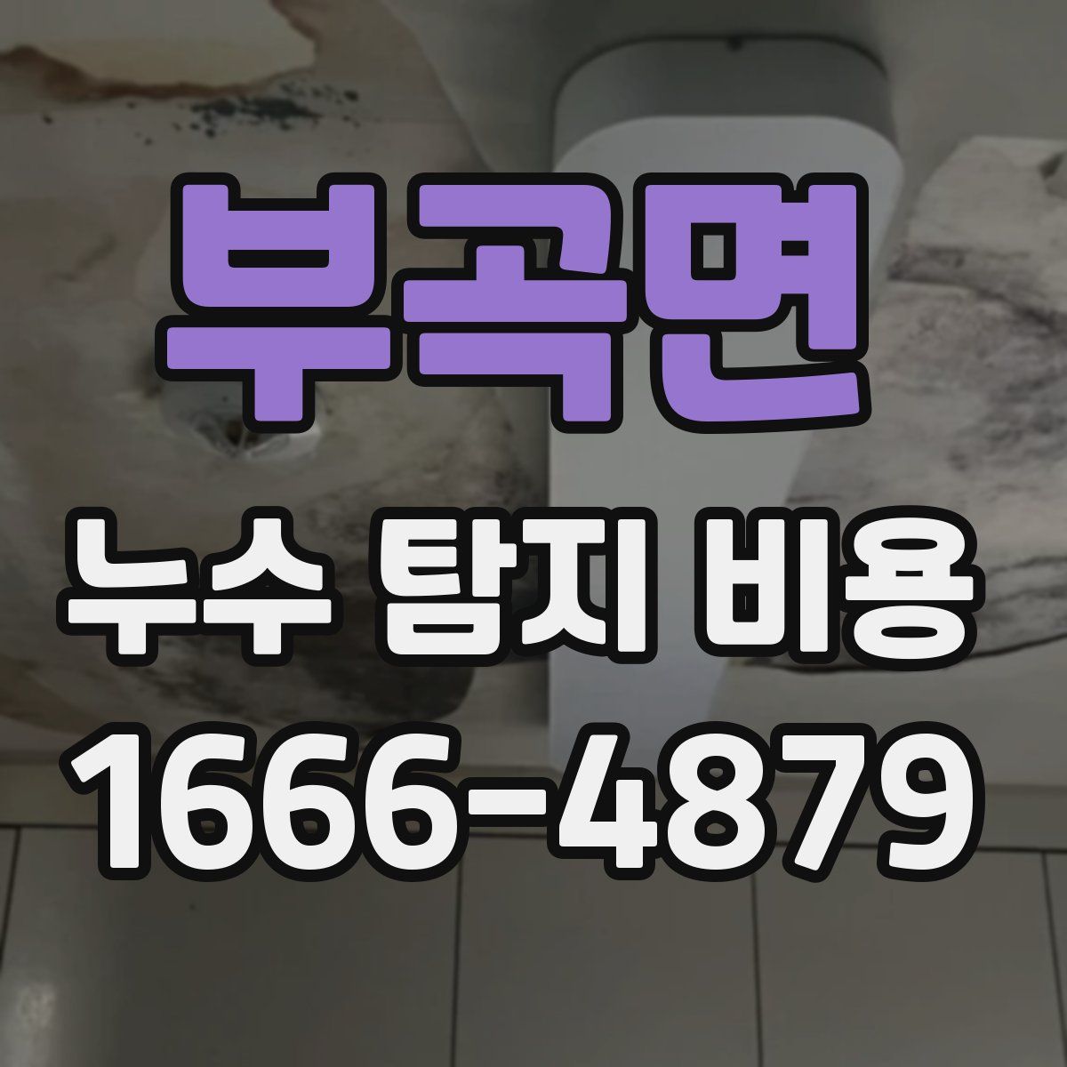 부곡면 누수 탐지 비용