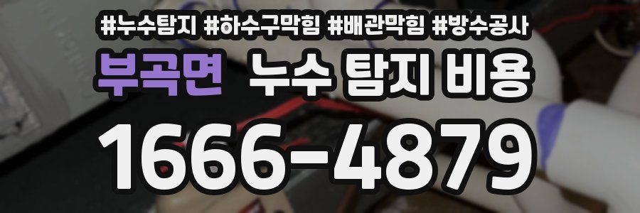부곡면 누수 탐지 비용