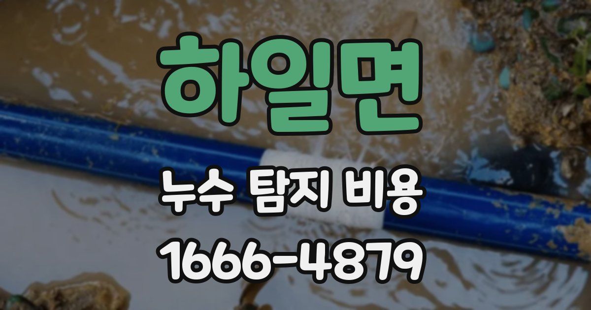 하일면 누수 탐지 비용