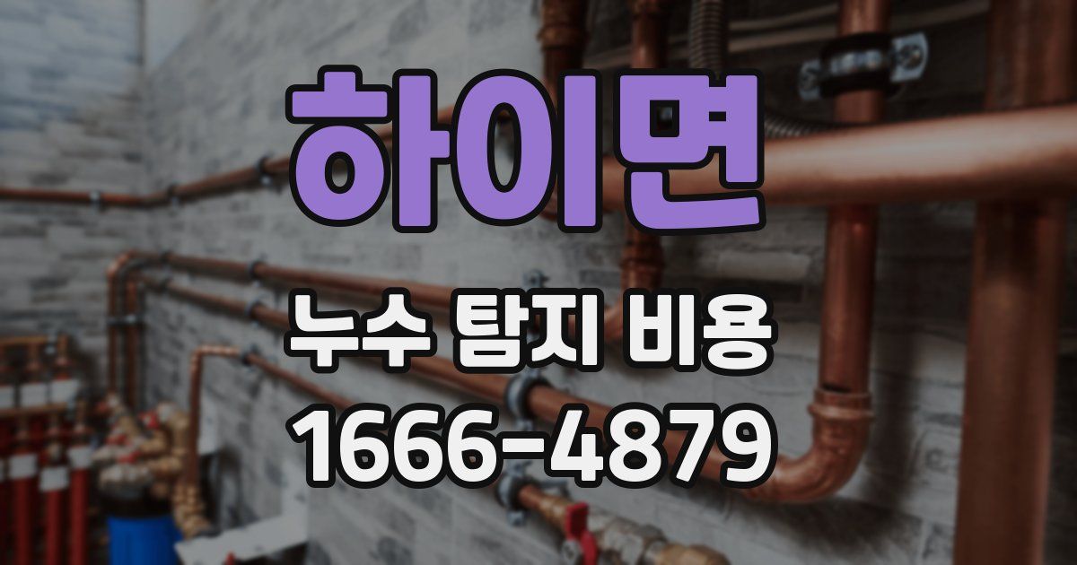 하이면 누수 탐지 비용