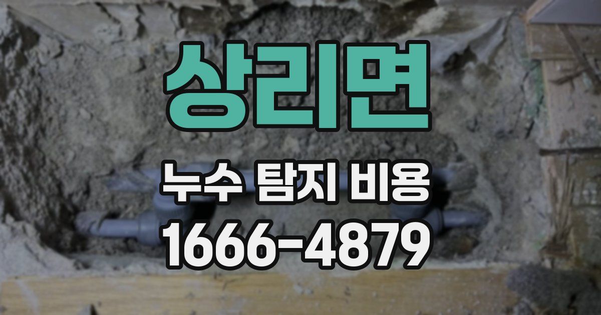 상리면 누수 탐지 비용