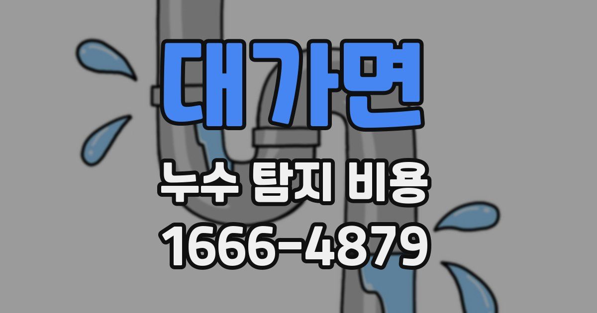 대가면 누수 탐지 비용
