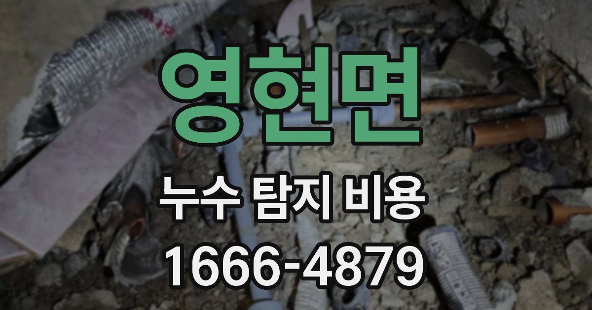 영현면 누수 탐지 비용