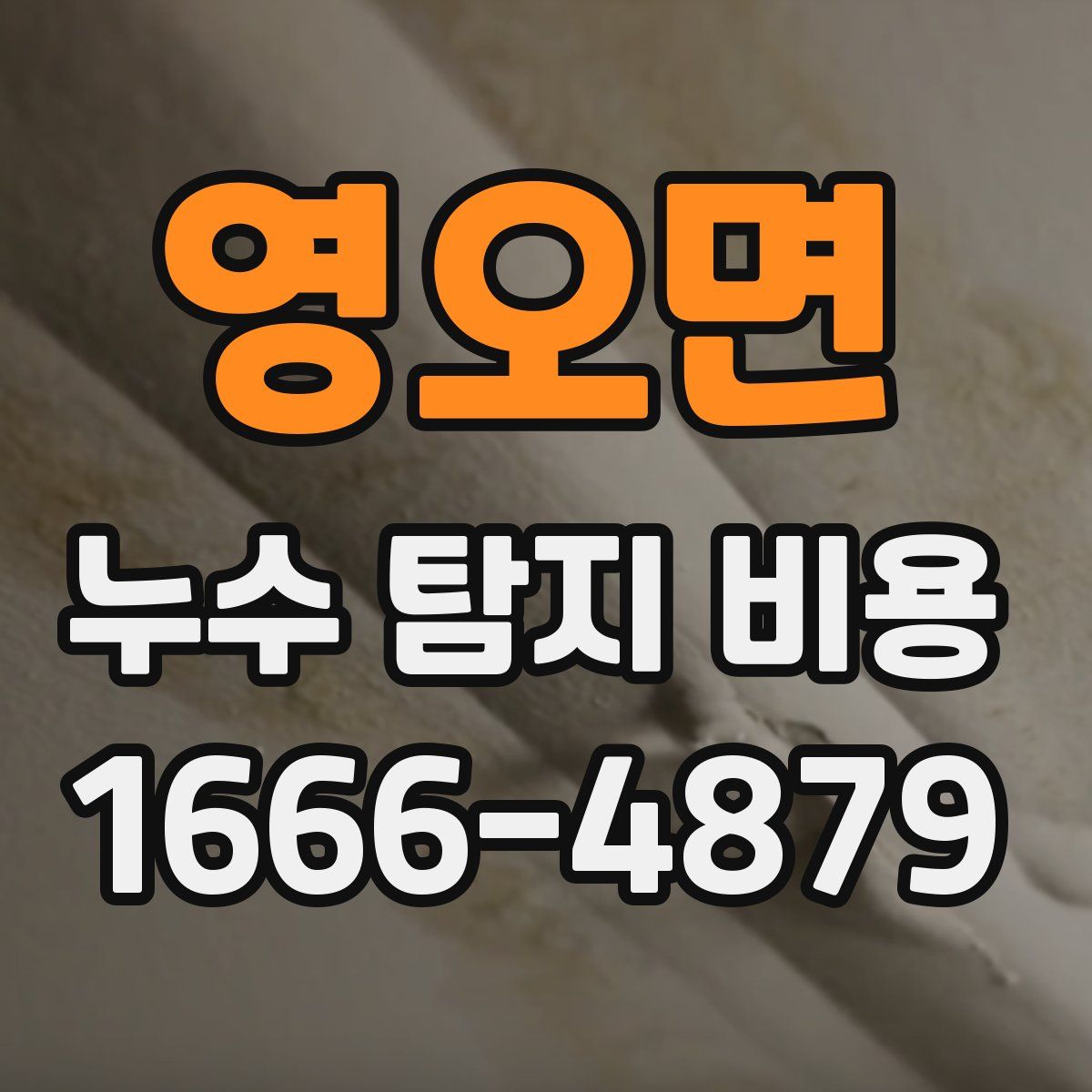 영오면 누수 탐지 비용