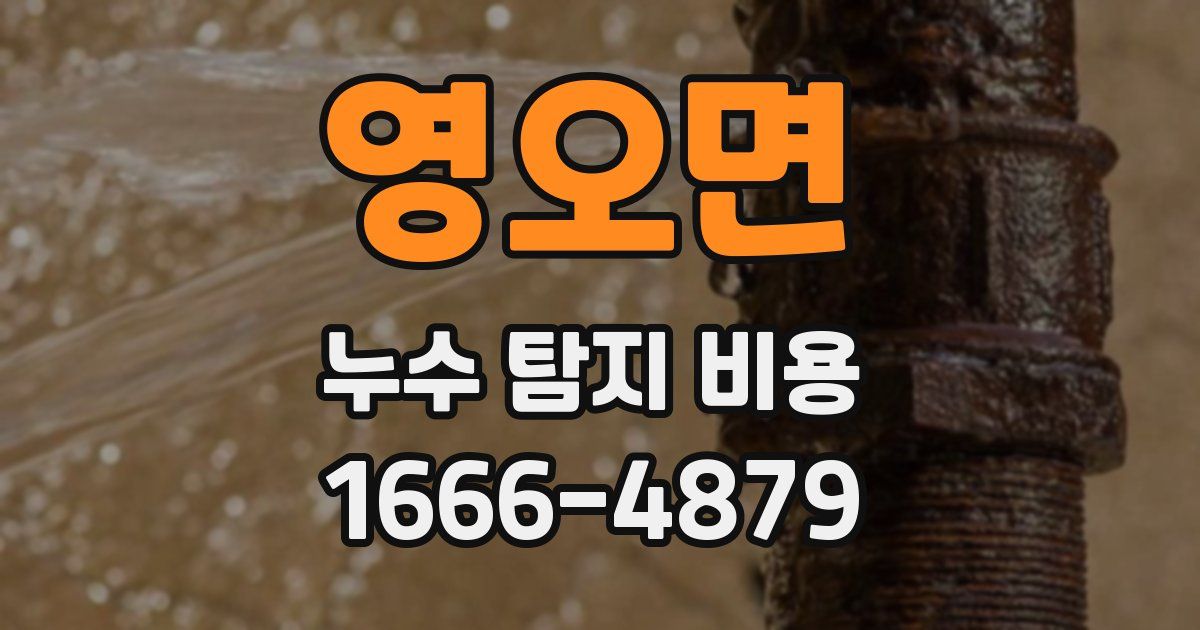 영오면 누수 탐지 비용