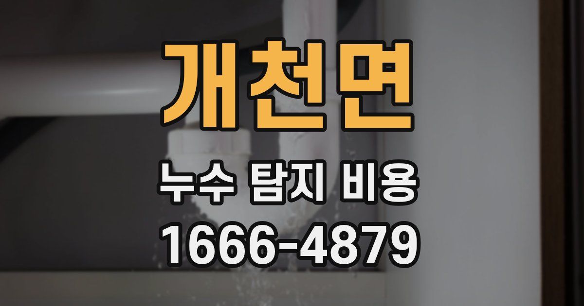 개천면 누수 탐지 비용