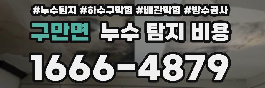 구만면 누수 탐지 비용