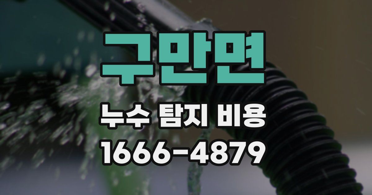 구만면 누수 탐지 비용