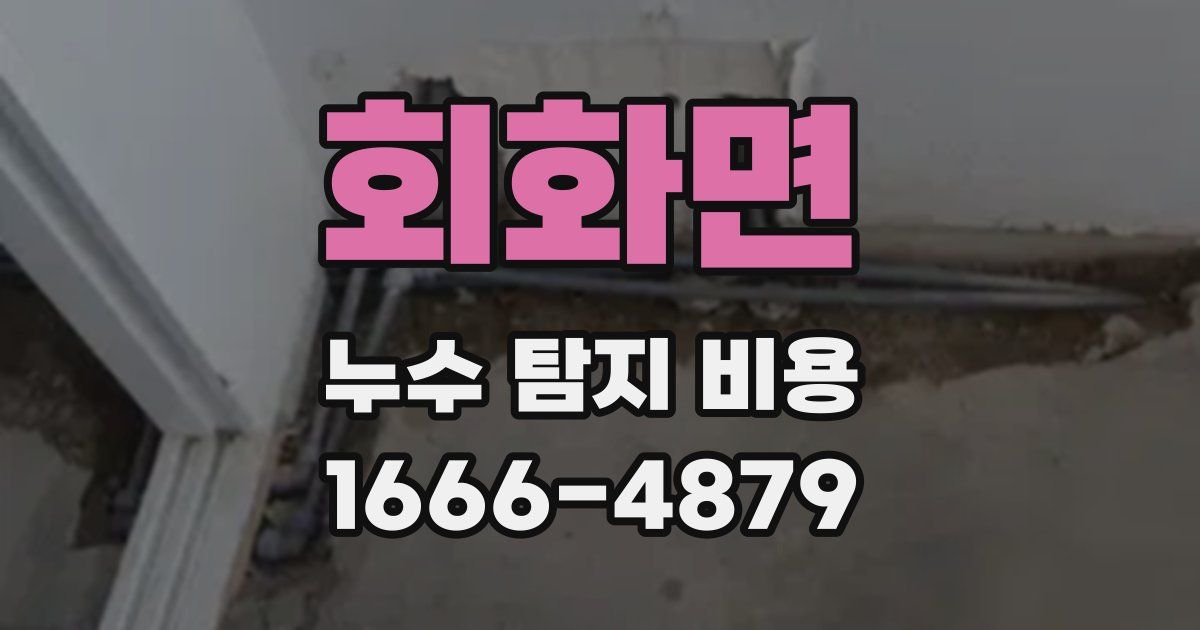 회화면 누수 탐지 비용