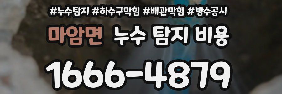 마암면 누수 탐지 비용