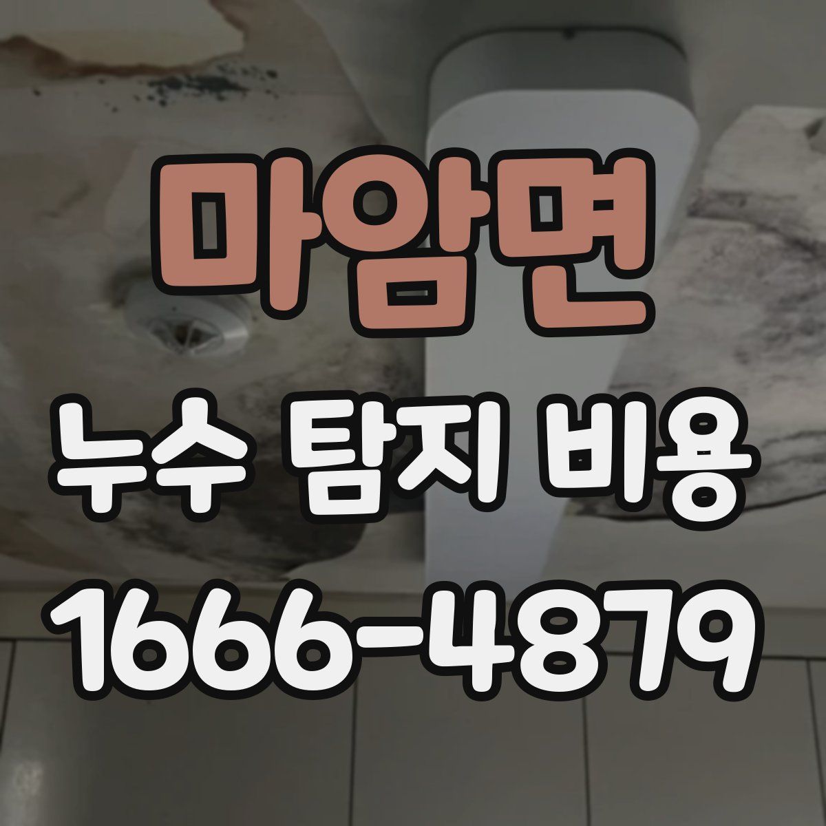 마암면 누수 탐지 비용