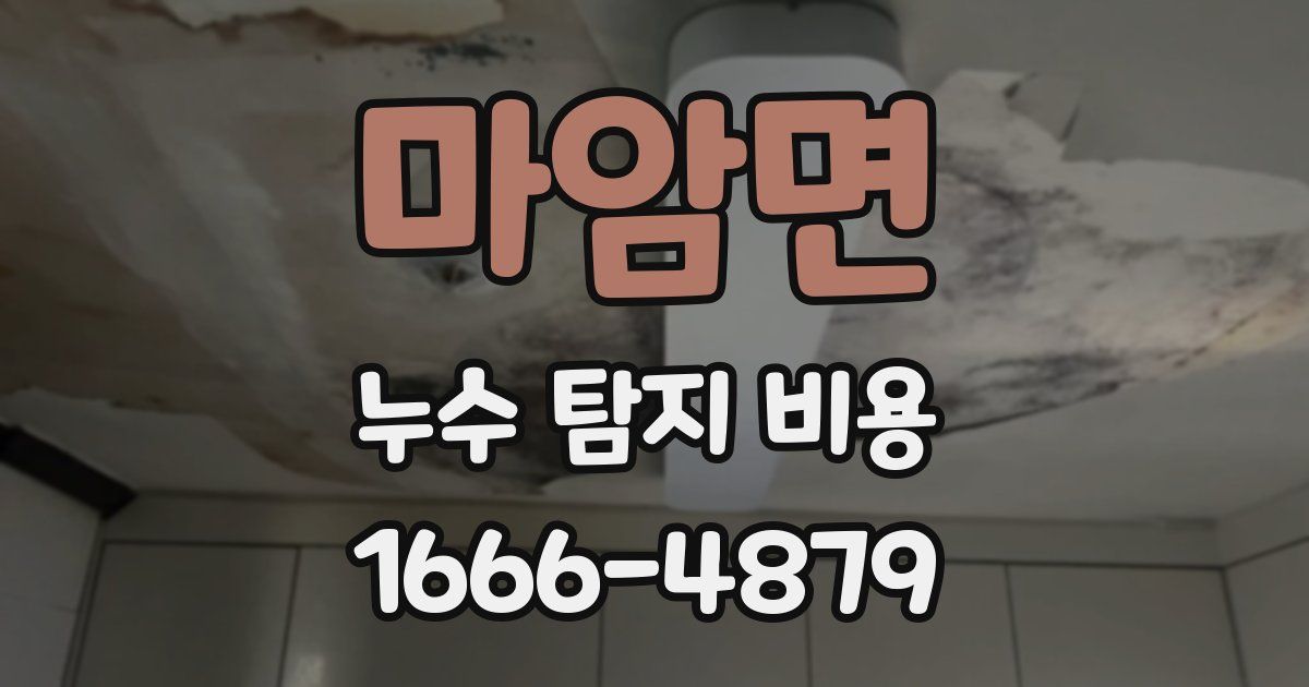 마암면 누수 탐지 비용