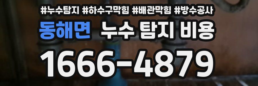 동해면 누수 탐지 비용