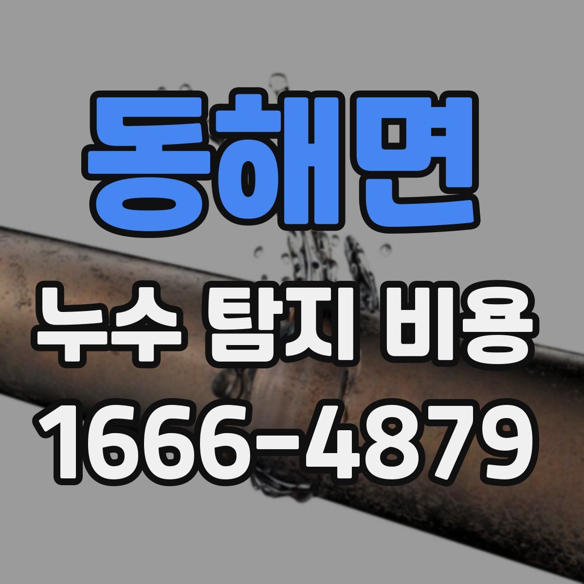 동해면 누수 탐지 비용