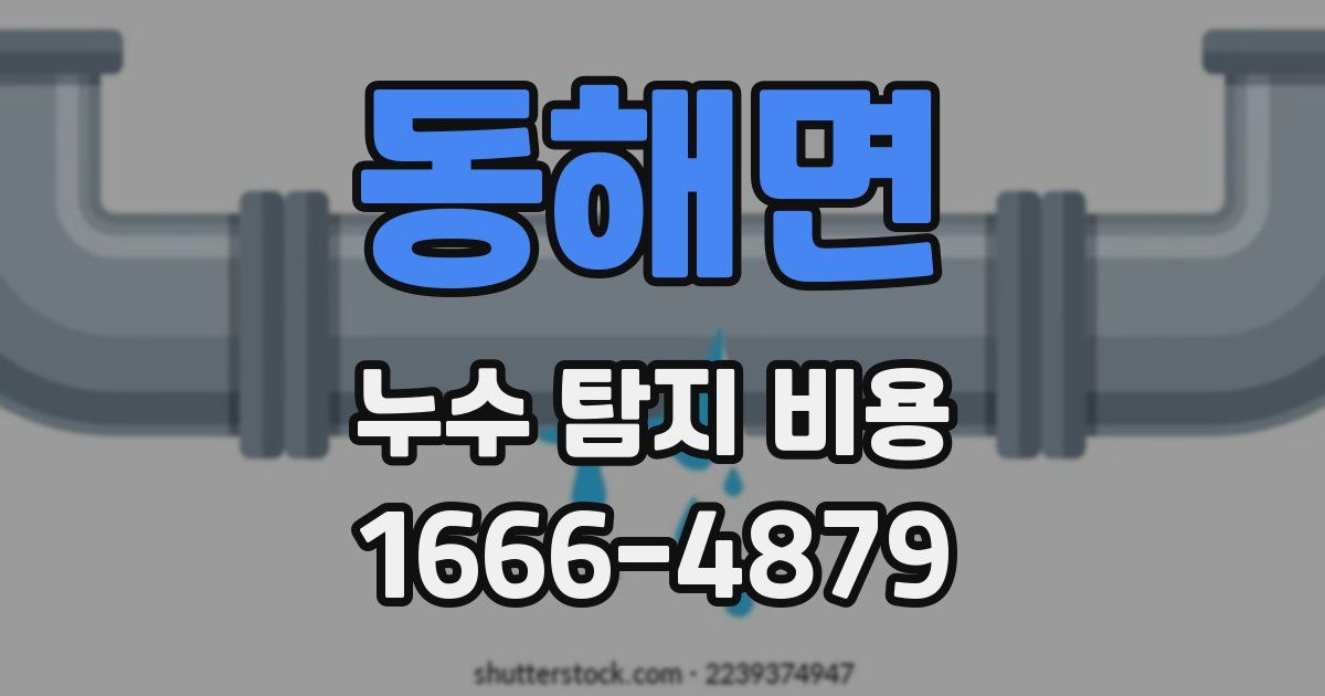 동해면 누수 탐지 비용