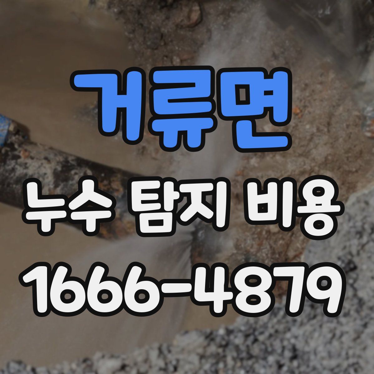 거류면 누수 탐지 비용