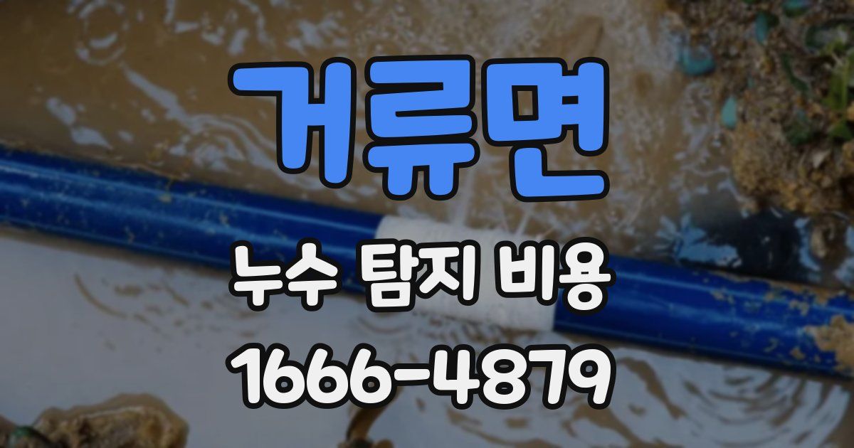거류면 누수 탐지 비용