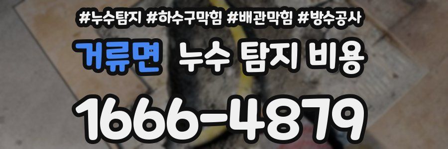 거류면 누수 탐지 비용