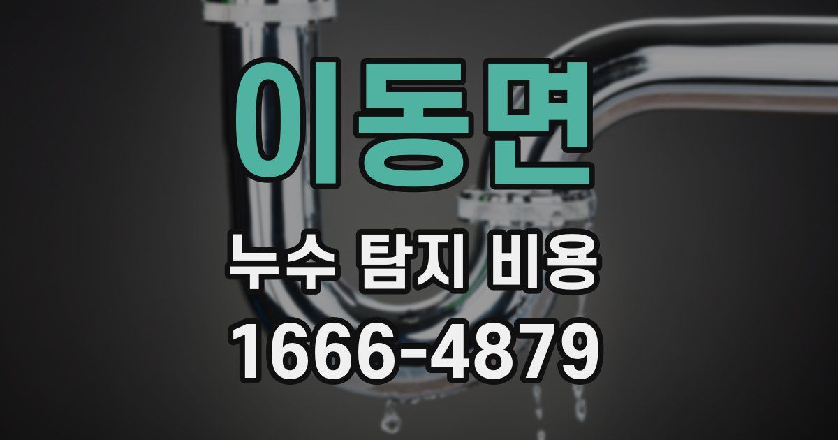 이동면 누수 탐지 비용