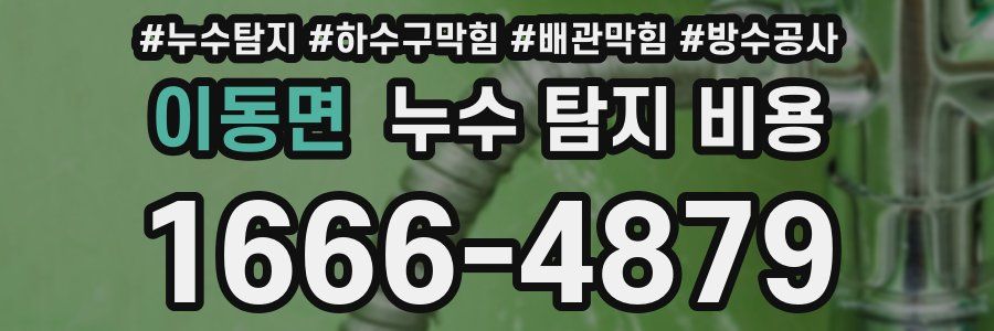 이동면 누수 탐지 비용