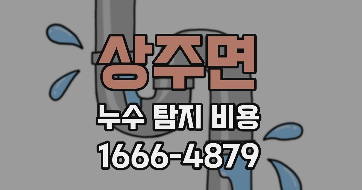 상주면 누수 탐지 비용