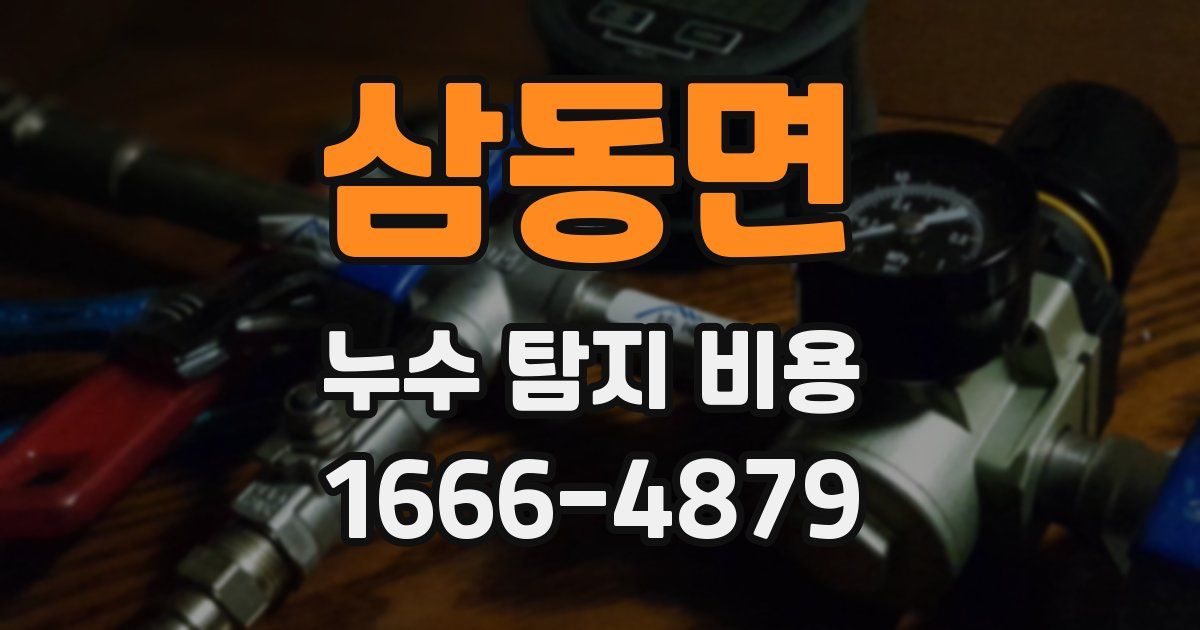 삼동면 누수 탐지 비용
