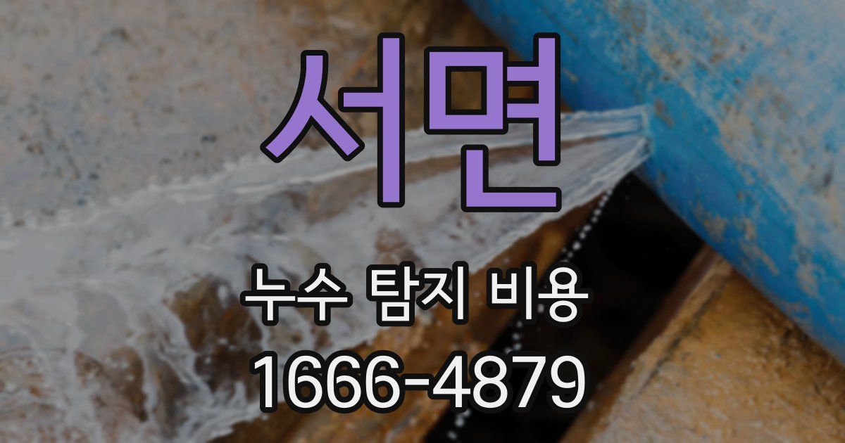 서면 누수 탐지 비용