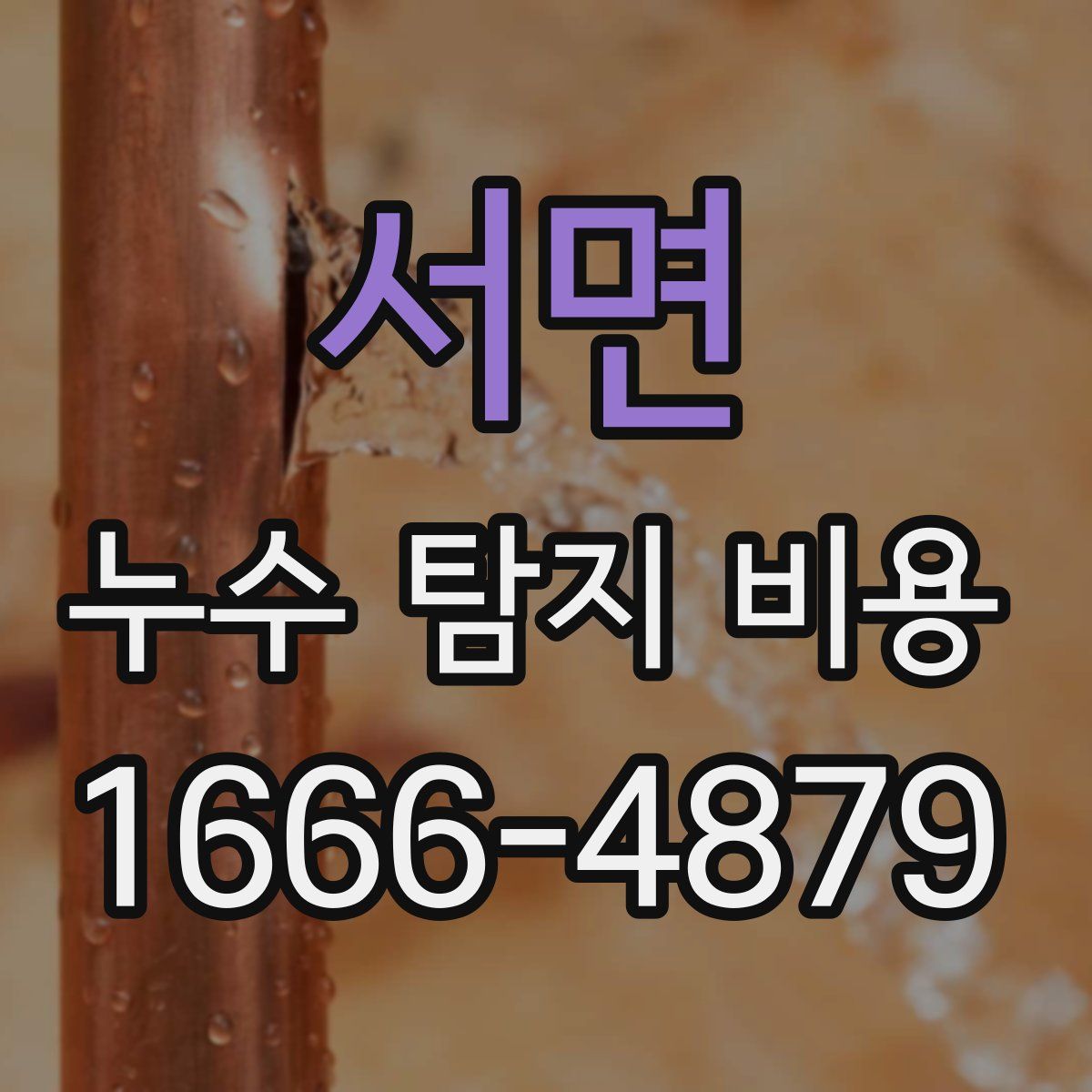 서면 누수 탐지 비용