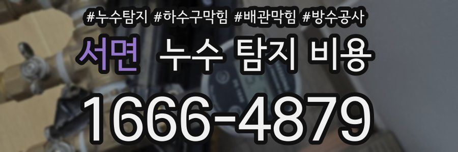 서면 누수 탐지 비용
