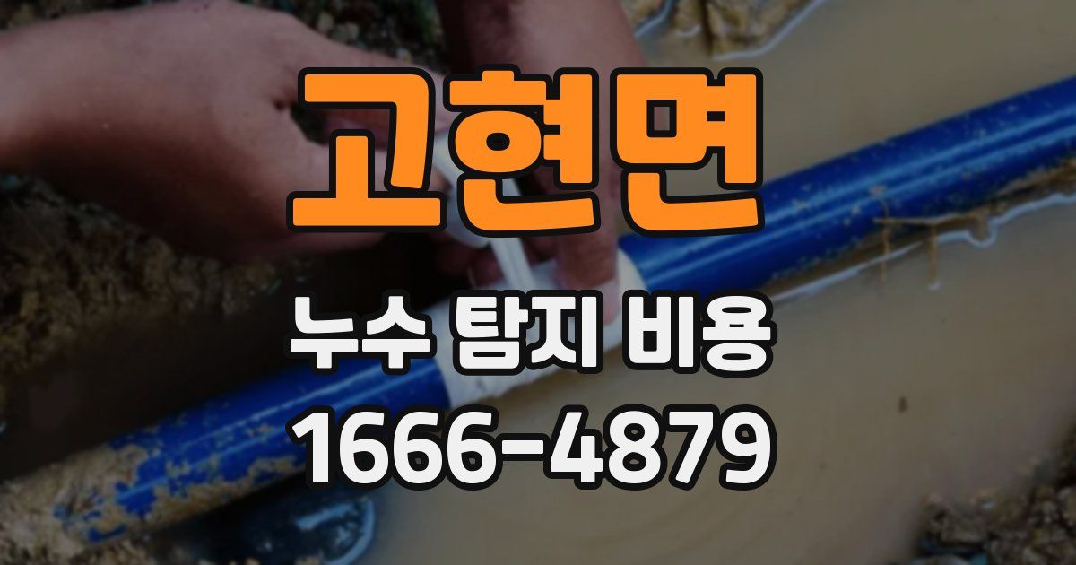 고현면 누수 탐지 비용