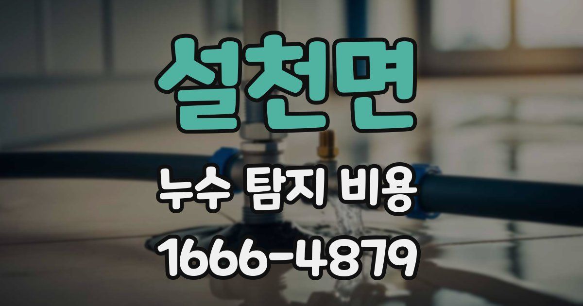설천면 누수 탐지 비용