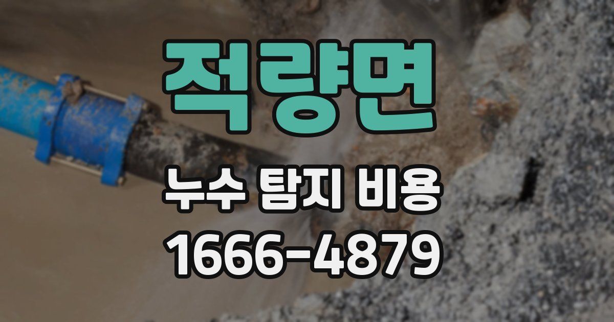 적량면 누수 탐지 비용