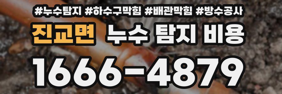 진교면 누수 탐지 비용