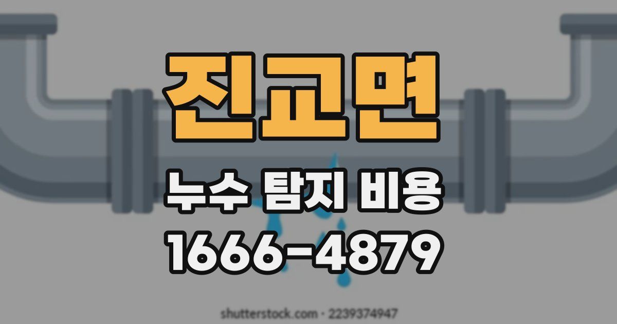 진교면 누수 탐지 비용