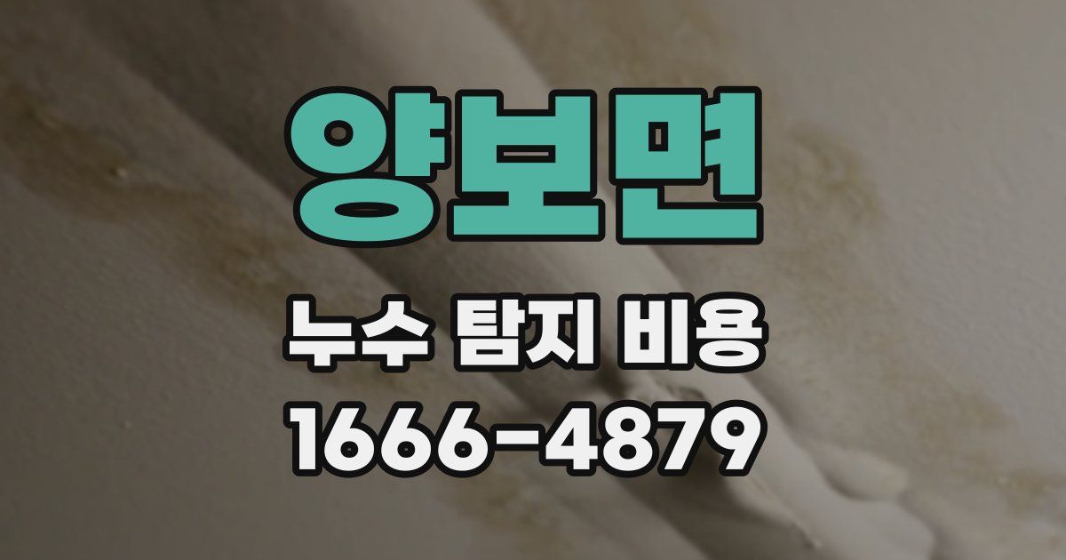 양보면 누수 탐지 비용
