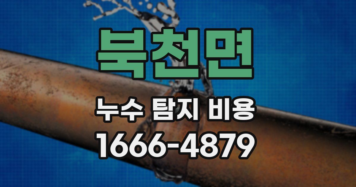 북천면 누수 탐지 비용
