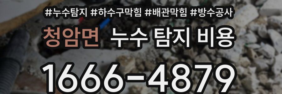 청암면 누수 탐지 비용