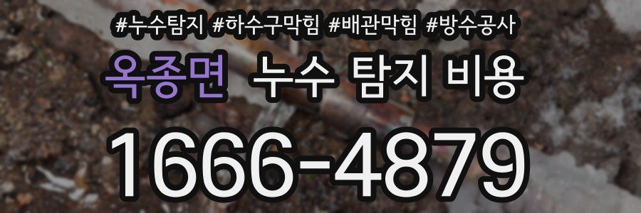 옥종면 누수 탐지 비용