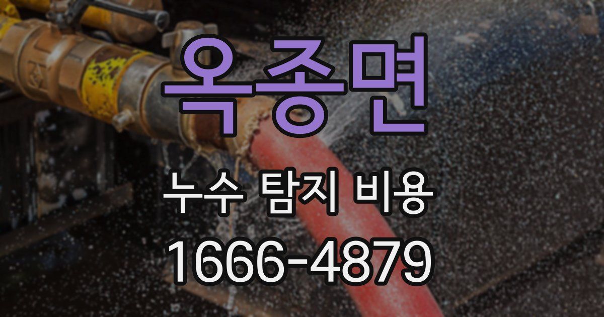 옥종면 누수 탐지 비용