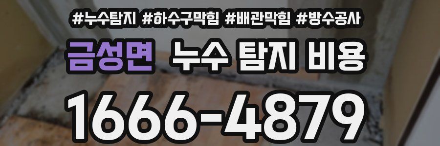 금성면 누수 탐지 비용
