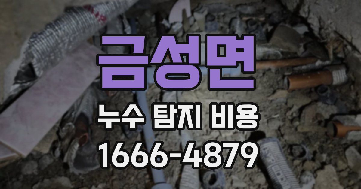 금성면 누수 탐지 비용