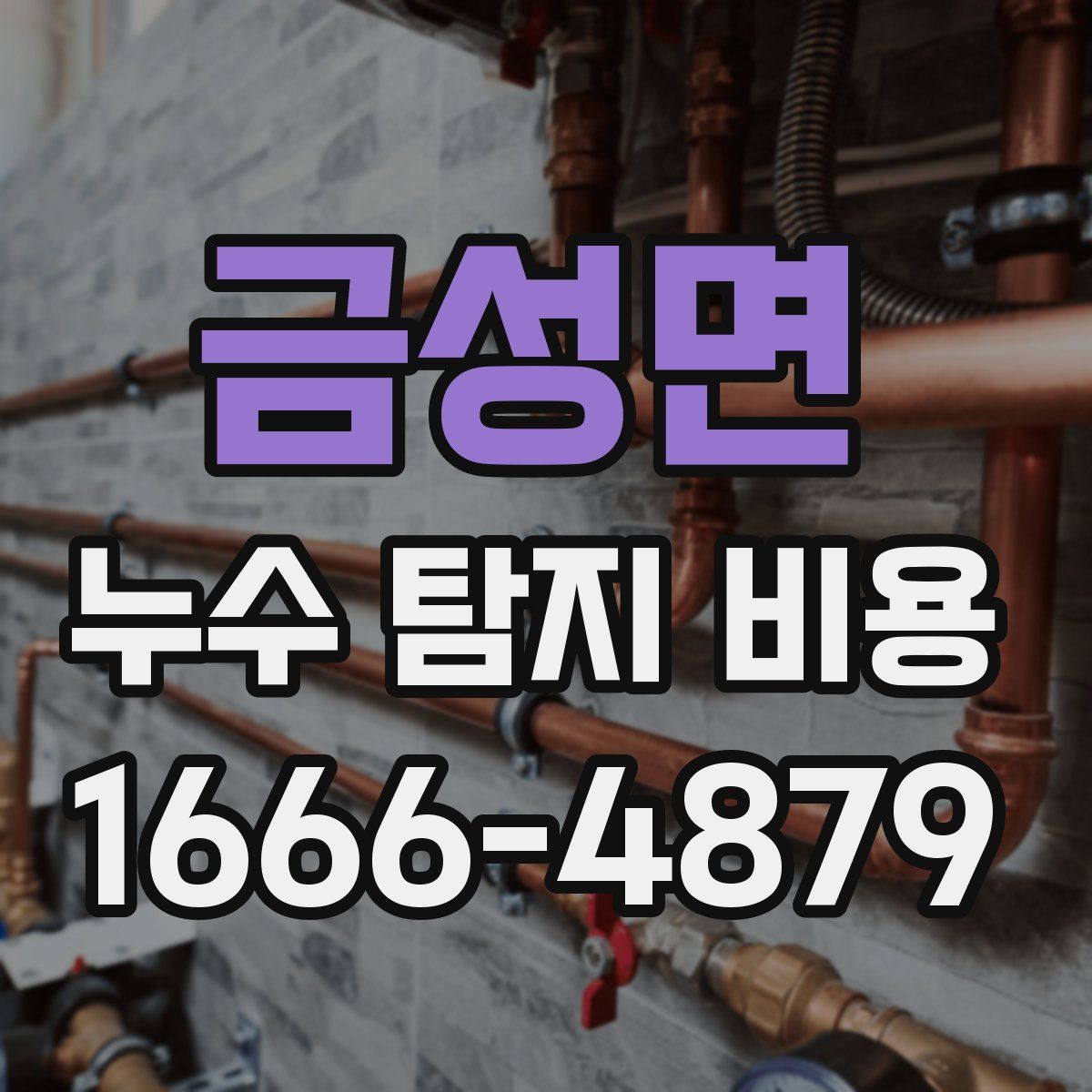 금성면 누수 탐지 비용
