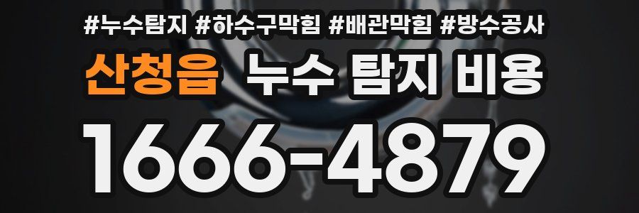 산청읍 누수 탐지 비용