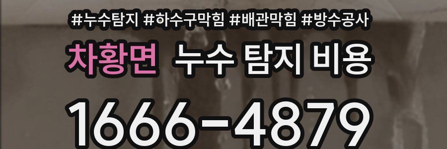 차황면 누수 탐지 비용