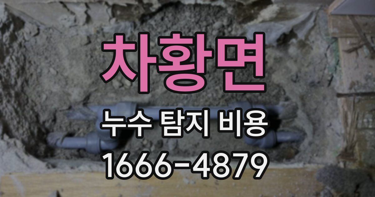 차황면 누수 탐지 비용
