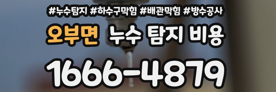 오부면 누수 탐지 비용