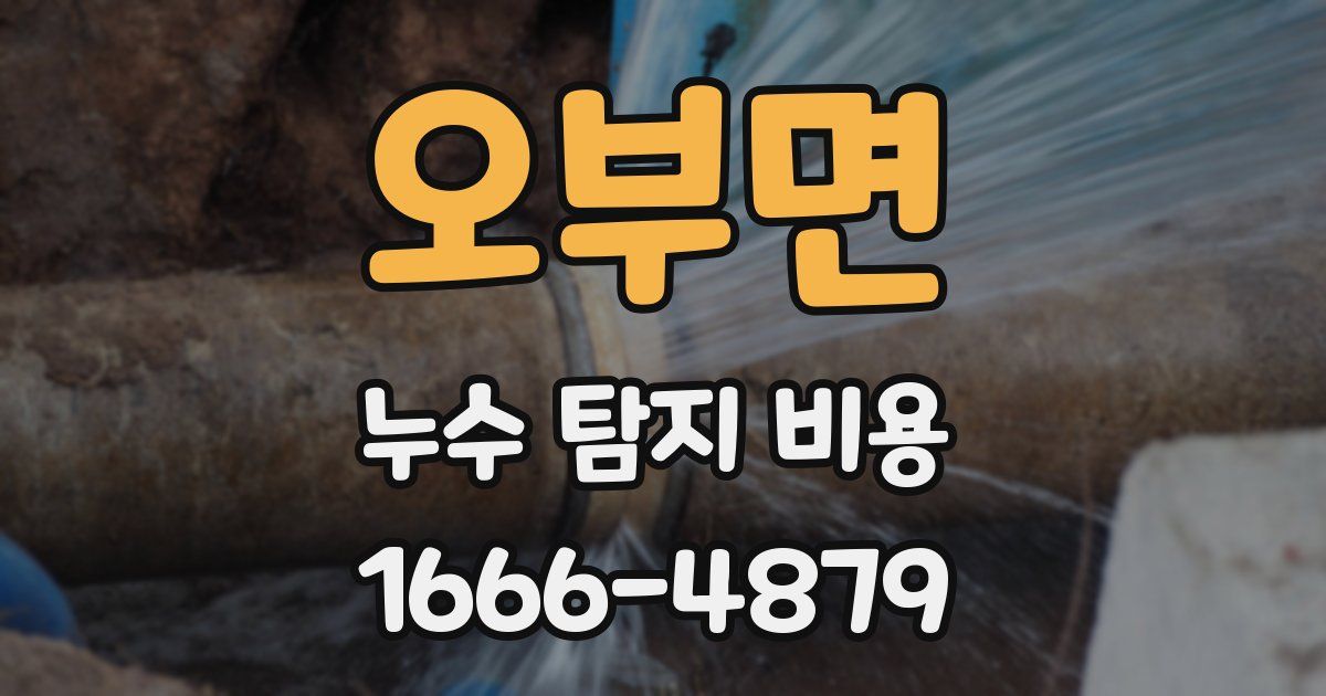 오부면 누수 탐지 비용