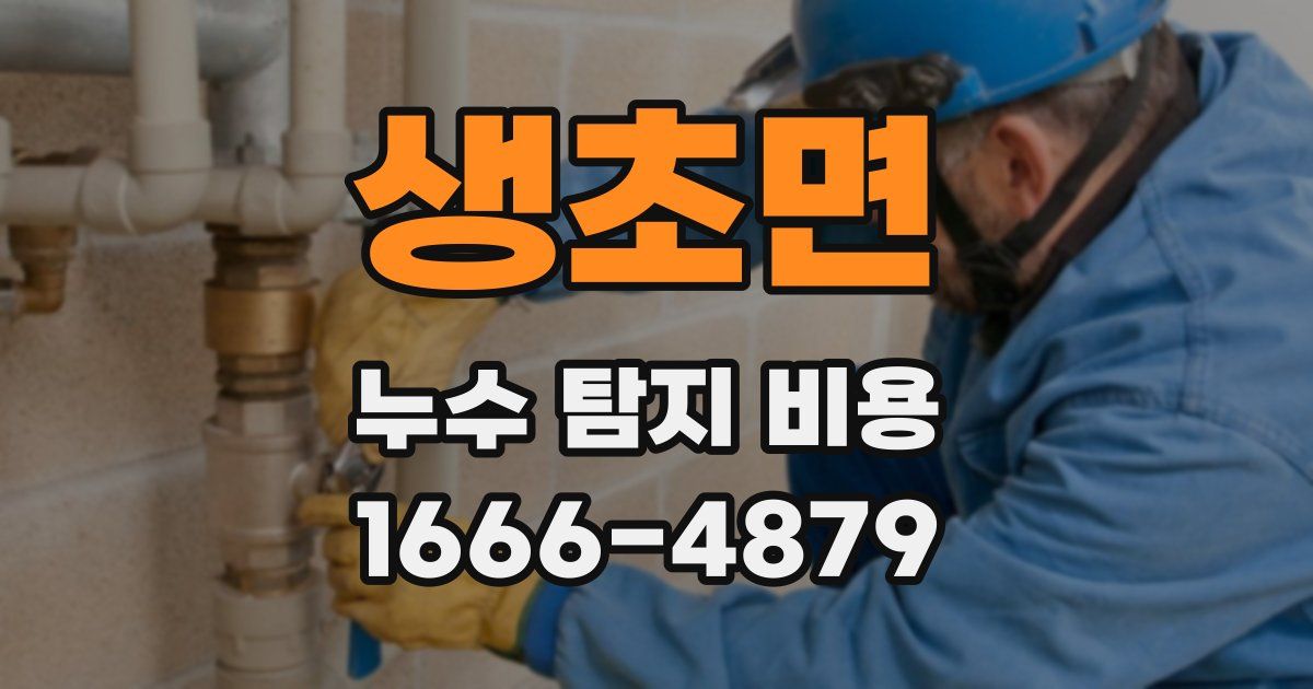 생초면 누수 탐지 비용