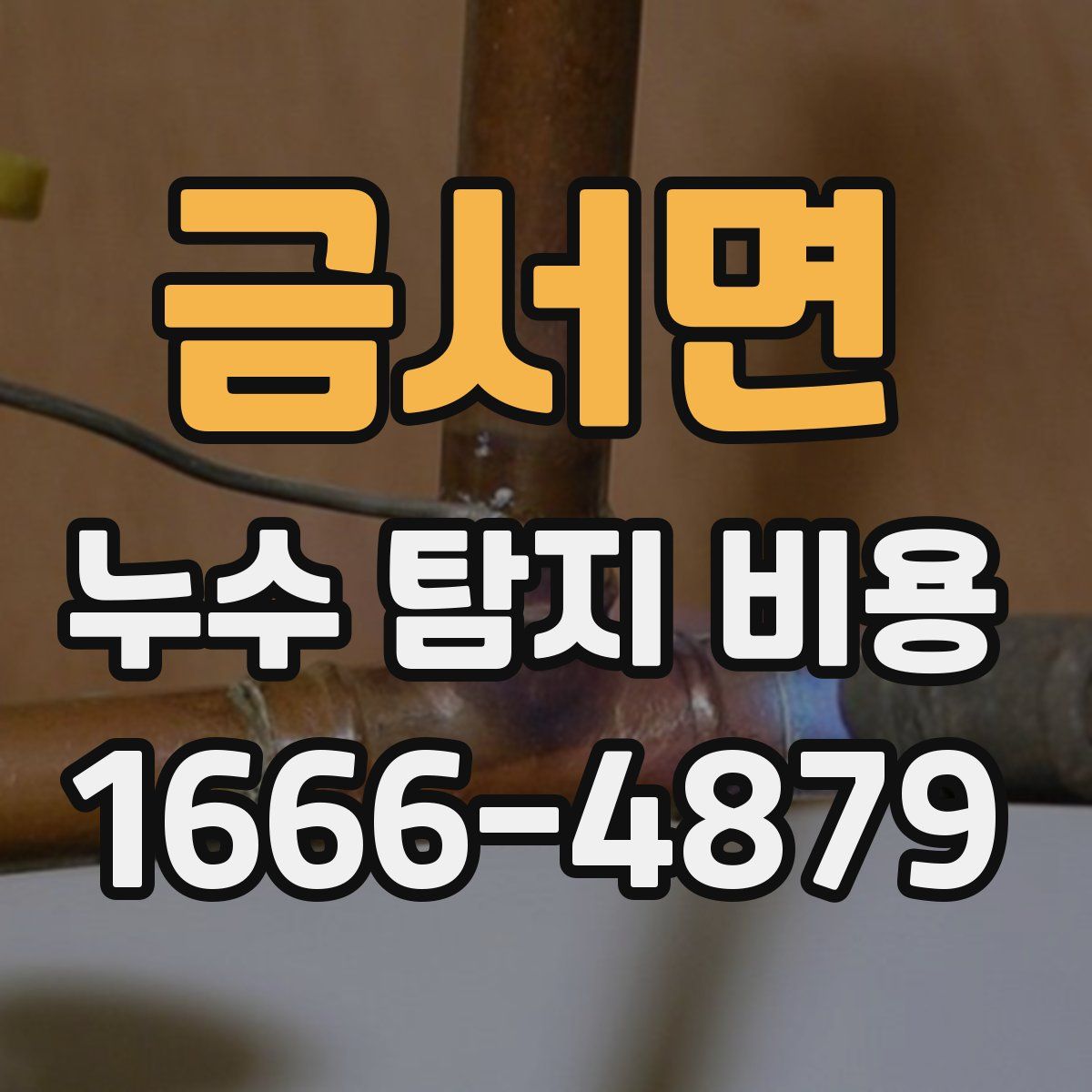 금서면 누수 탐지 비용